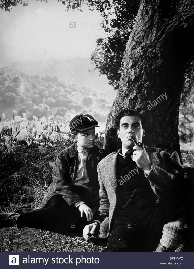 Walter Pidgeon