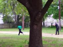 Walter Scott