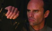 Walton Goggins