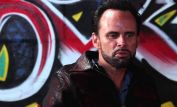 Walton Goggins