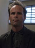 Walton Goggins