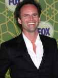 Walton Goggins