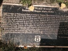 Ward Wood