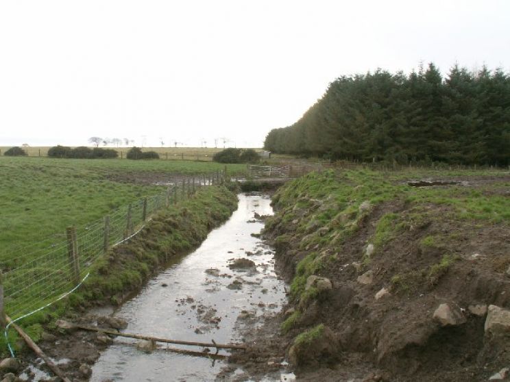 Ward Wood