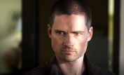 Warren Christie