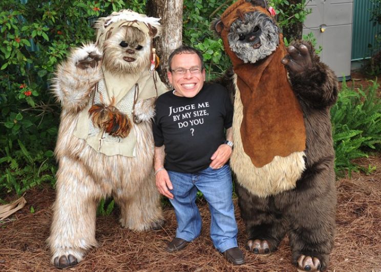 Warwick Davis