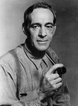 Wayde Preston #3859906 picture (Portrait Medium)