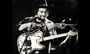 Waylon Jennings