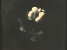 Wayne Foskett