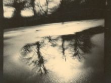 Wayne Foskett