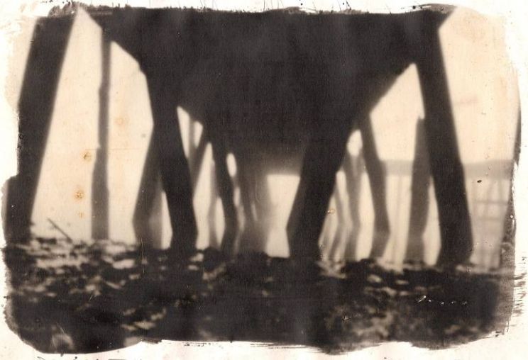 Wayne Foskett