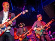 Wayne Kramer