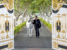 Wayne Newton