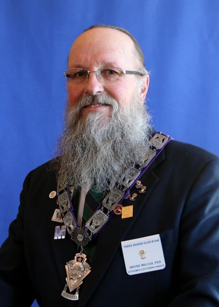Wayne Wilcox