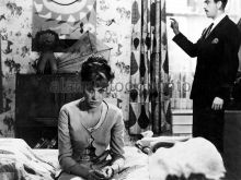 Wendy Craig