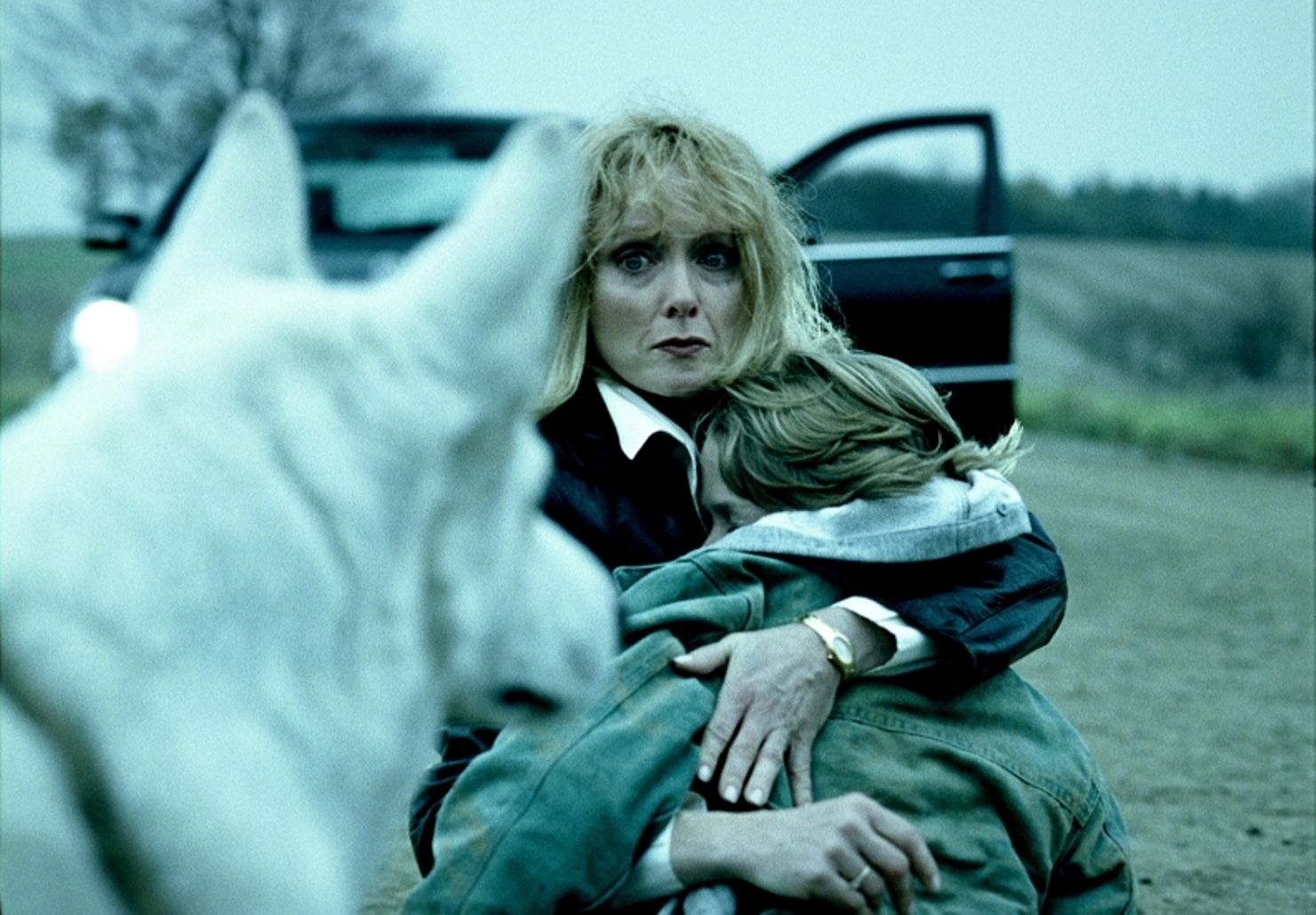 Wendy lyon actress