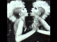 Wendy O. Williams photo