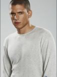 Wentworth Miller