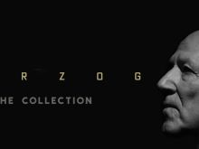 Werner Herzog #198069 picture (Landscape Medium)