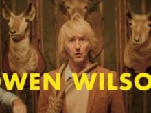 Wes Anderson #63874 picture (Landscape Medium)