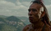 Wes Studi