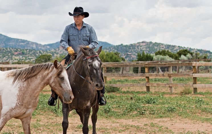 Wes Studi