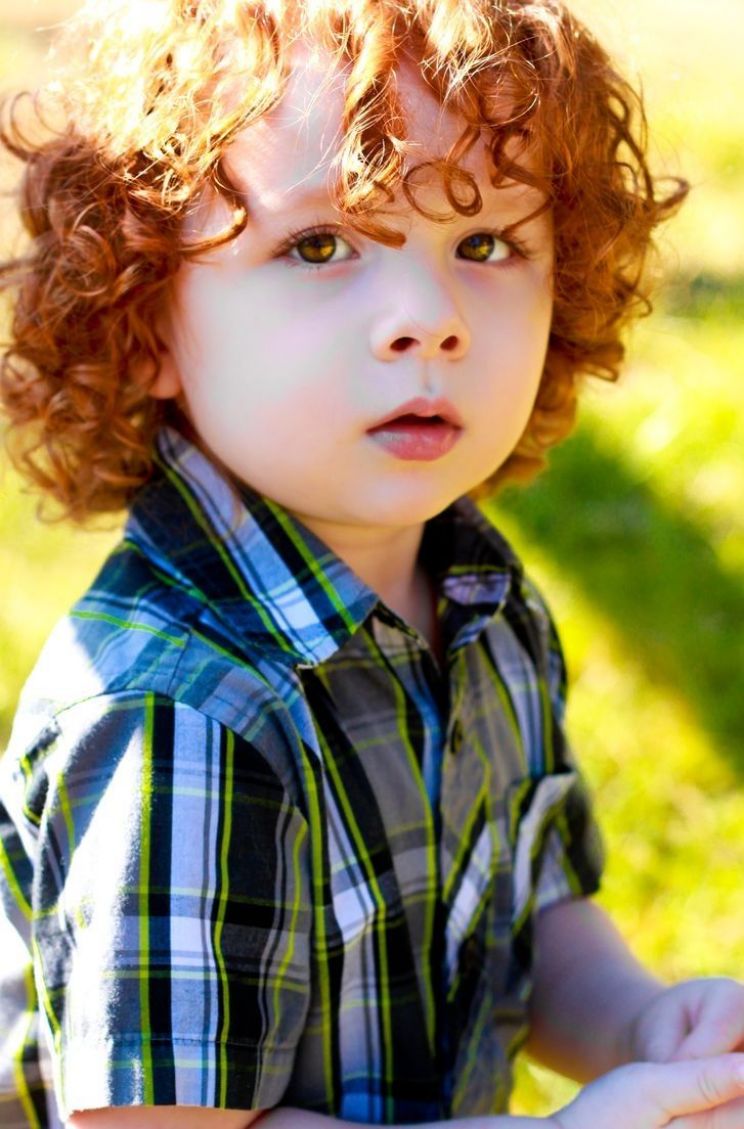 Wesley MacInnes