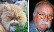 Wilford Brimley