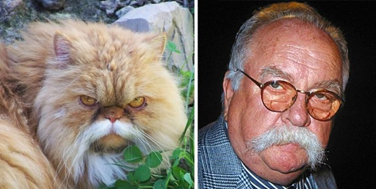 Wilford Brimley