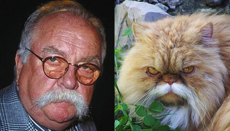 Wilford Brimley