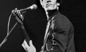 Wilko Johnson