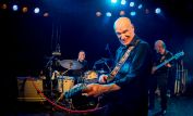 Wilko Johnson