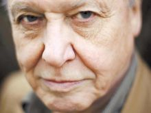 Will Attenborough