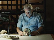 Will Attenborough