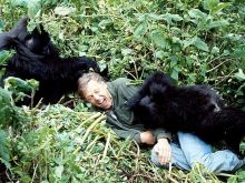 Will Attenborough