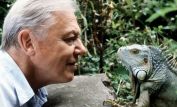 Will Attenborough