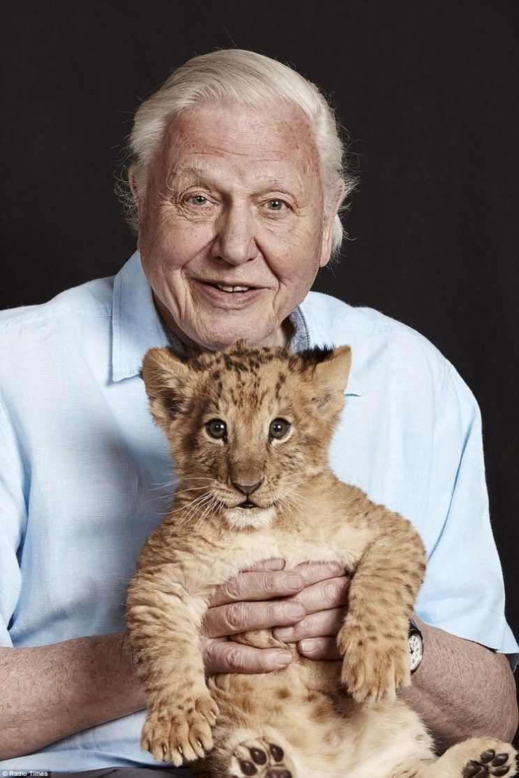 Will Attenborough