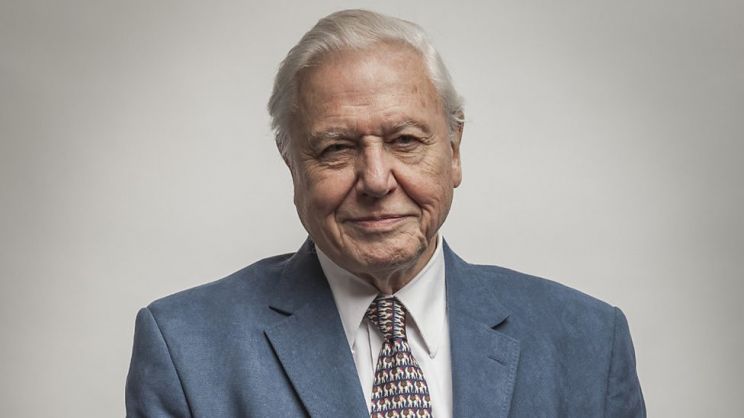 Will Attenborough