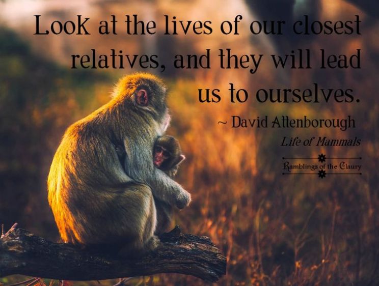 Will Attenborough