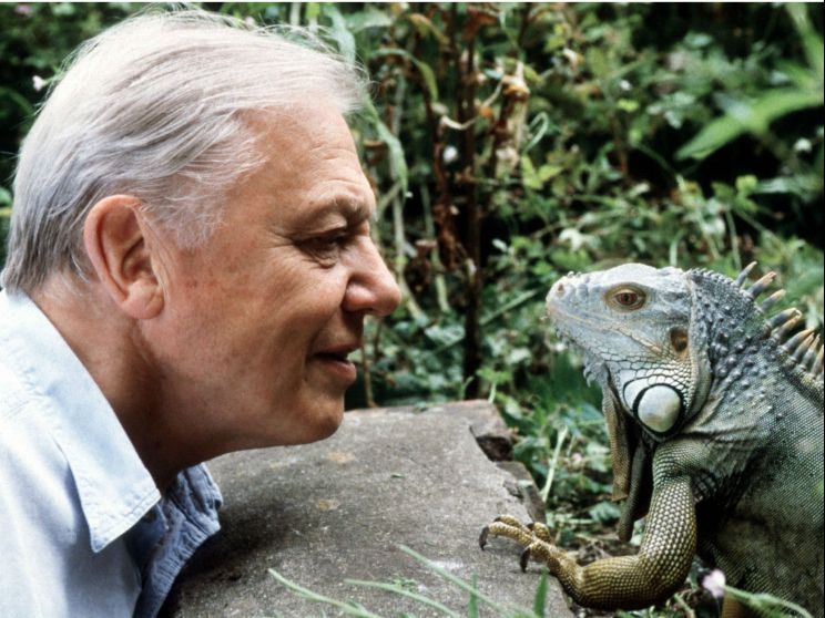 Will Attenborough