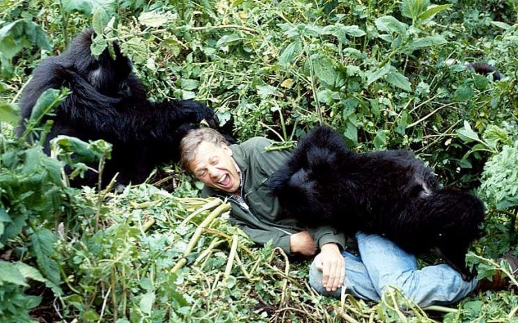 Will Attenborough