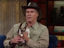 Will Ferrell