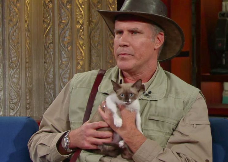 Will Ferrell