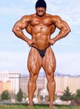 Will Harris