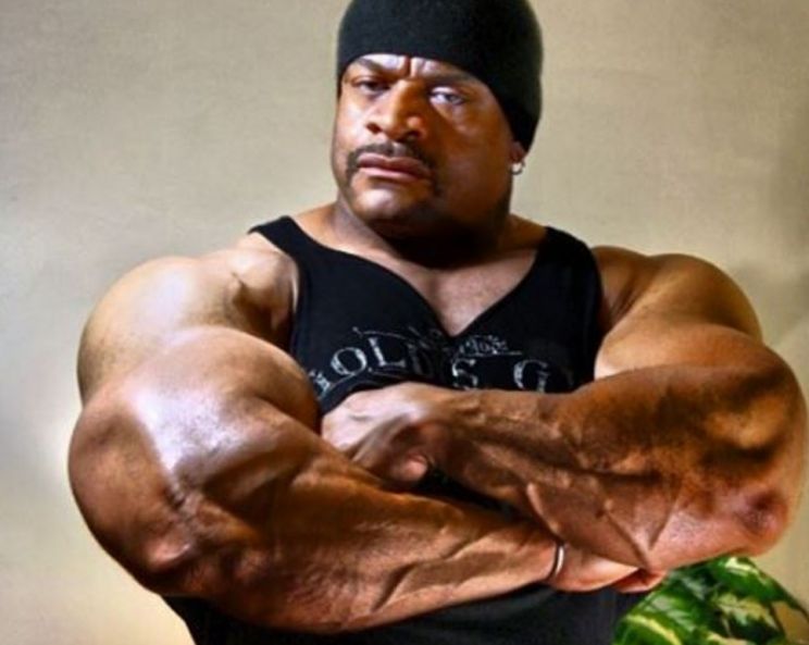 Will Harris