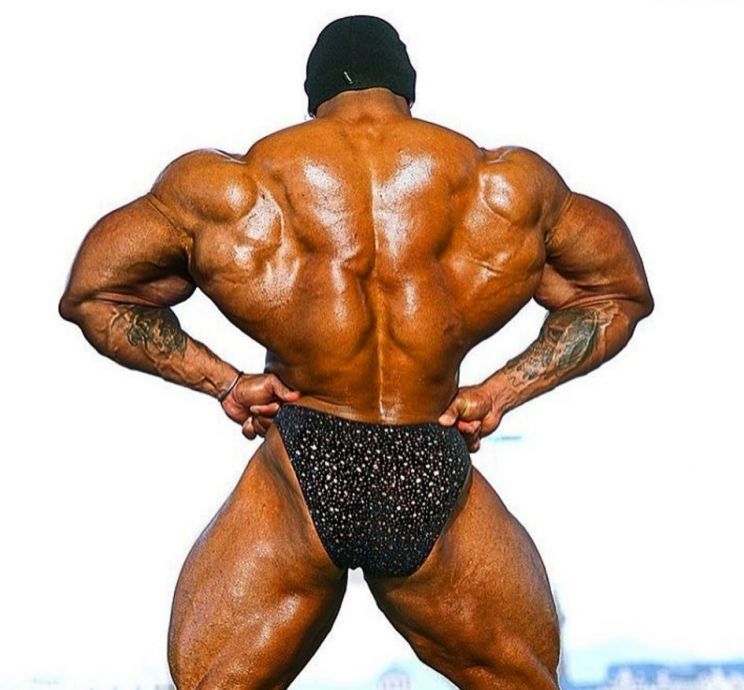 Will Harris