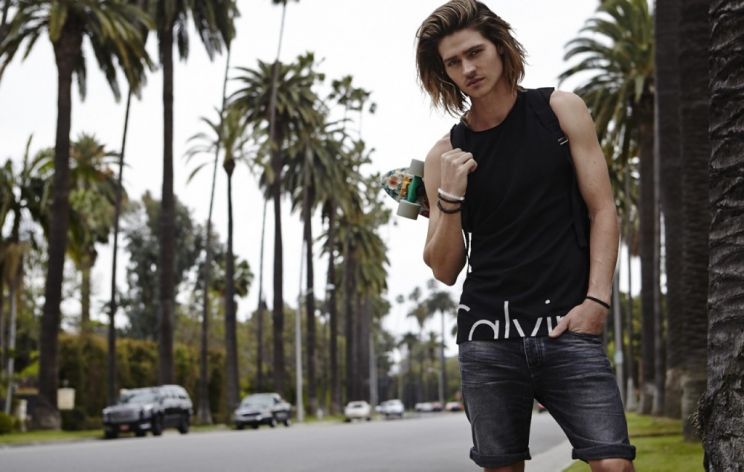 Will Peltz