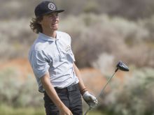 Will Stewart