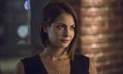 Willa Holland