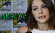 Willa Holland